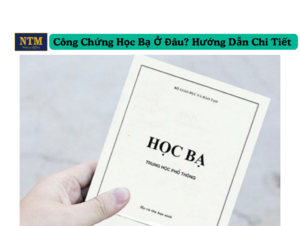 Công Chứng Học Bạ Ở Đâu? Hướng Dẫn Chi Tiết Từ A Đến Z