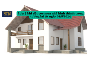 Lưu ý khi đặt cọc mua nhà hình thành trong tương lai từ ngày 01-8-2024