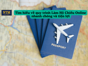lam-ho-chieu-online