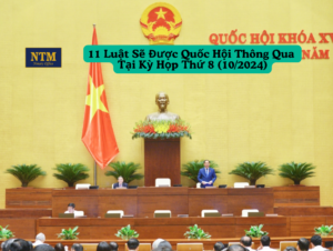 11 Luật sẽ được Quốc hội thông qua tại Kỳ họp thứ 8 (10/2024)